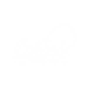 Design sem nome (81)